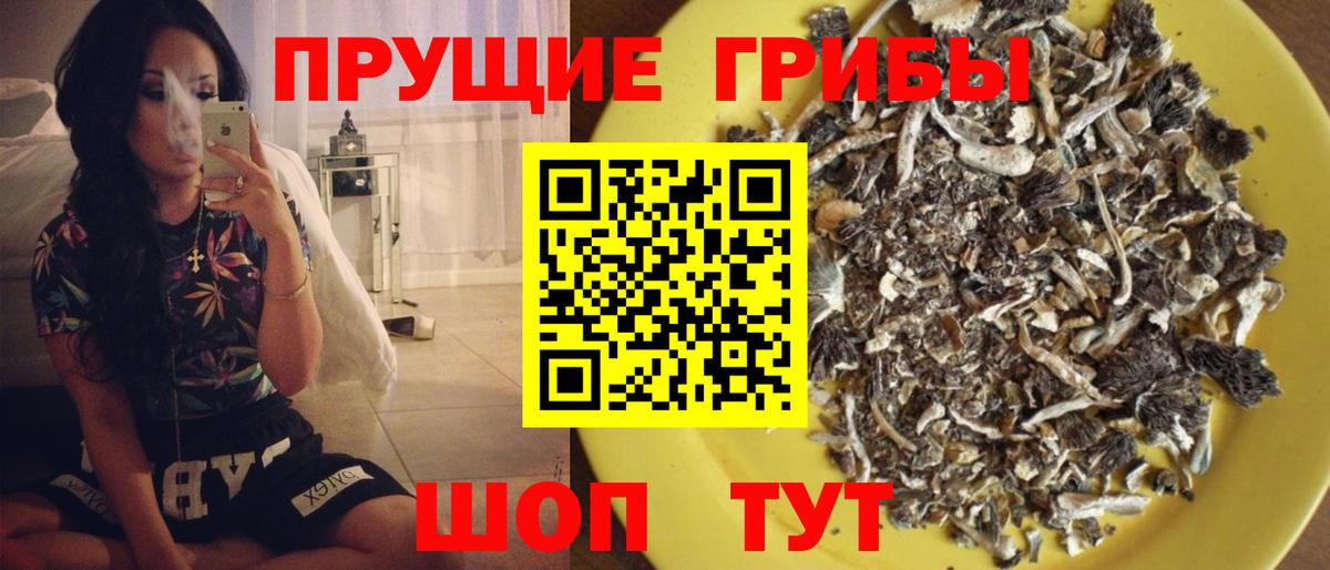 Чапаевск  Галлюциногенные грибы прущие грибы  Вход с VPN 